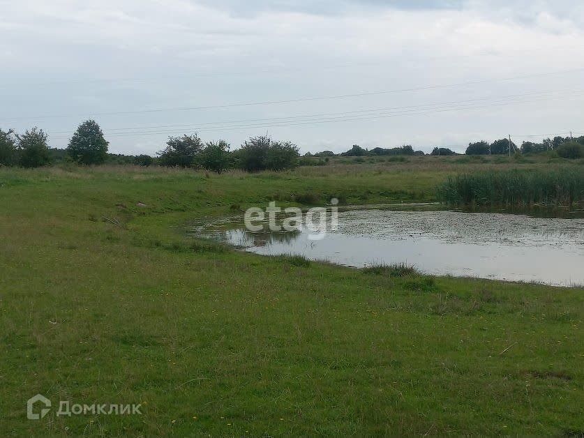 земля р-н Зеленоградский посёлок Холмогоровка фото 3