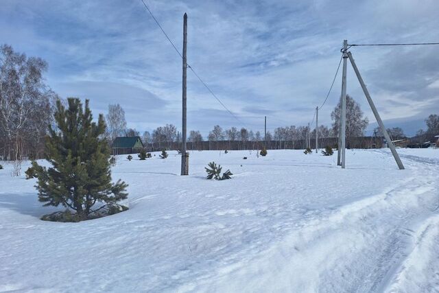 Медведевское сельское поселение фото