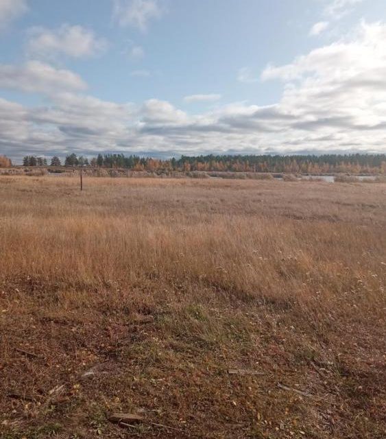 земля городской округ Якутск, Республика Саха Якутия, село Владимировка фото 2