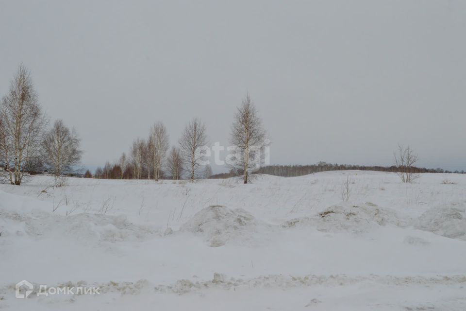 земля р-н Прокопьевский село Верх-Егос фото 8