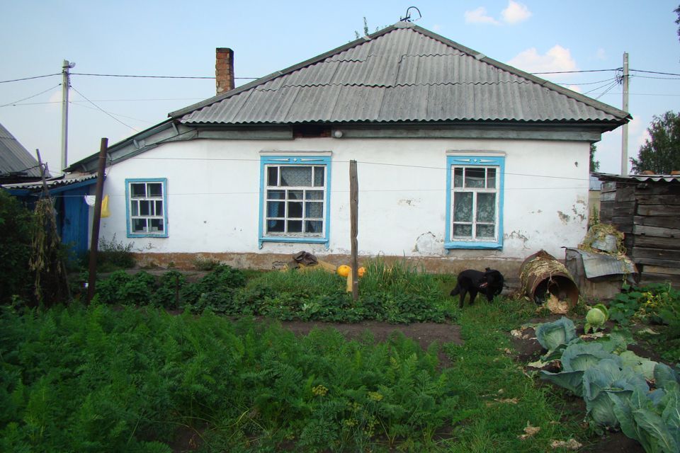 дом р-н Яшкинский село Колмогорово фото 7