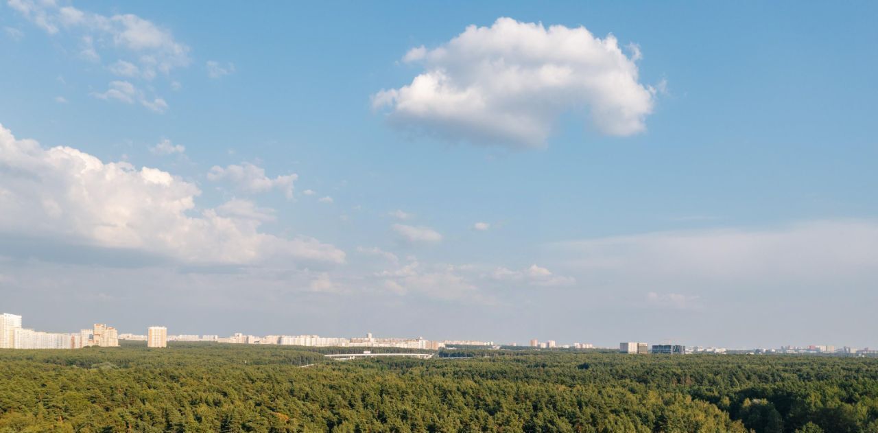 квартира г Москва п Московский метро Говорово № 3 кв-л, Движение. Говорово жилой комплекс, к 2 фото 25