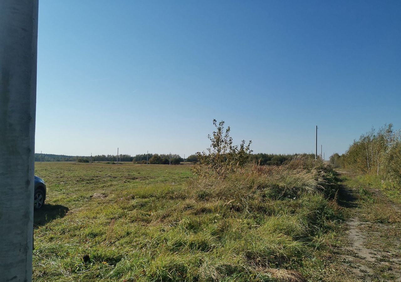 земля городской округ Орехово-Зуевский д Дровосеки Орехово-Зуево фото 13