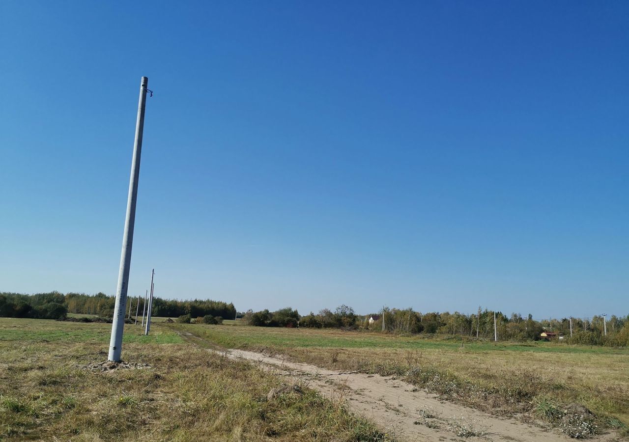 земля городской округ Орехово-Зуевский д Дровосеки Орехово-Зуево фото 15