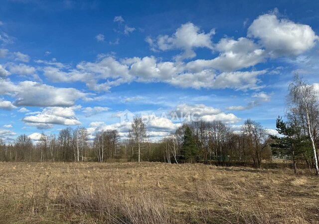 п Новоселки Воскресенск фото