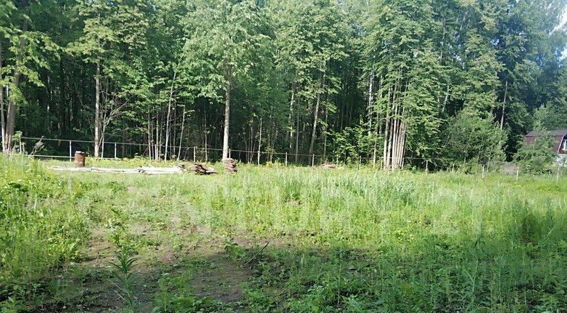 земля г Пермь р-н Орджоникидзевский пер Ленинский фото 1