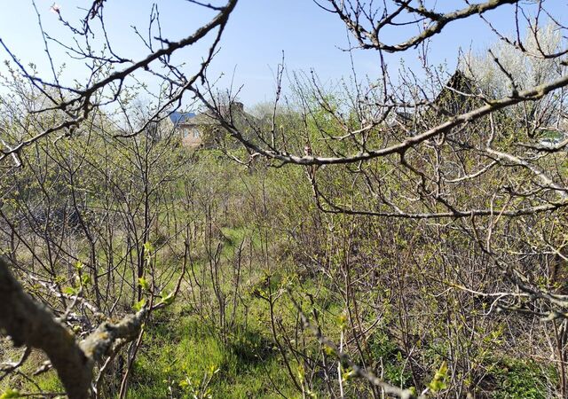 земля Николаевское сельское поселение, садовое товарищество Ромашка-2 фото