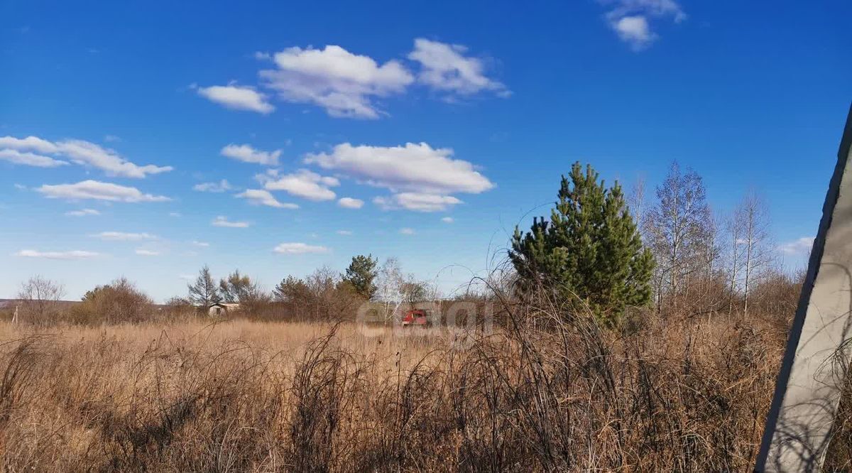 земля г Благовещенск снт Березка фото 2