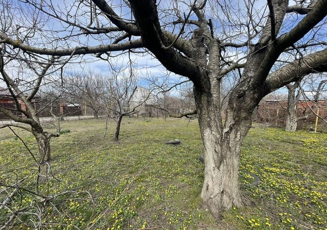 земля сад Лазурный берег Вареновское сельское поселение, 42, Таганрог фото