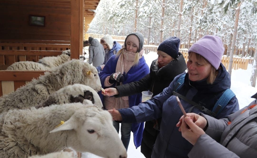 свободного назначения р-н Каменский д Бекленищева ул Октябрьская 22 Каменск-Уральский фото 3