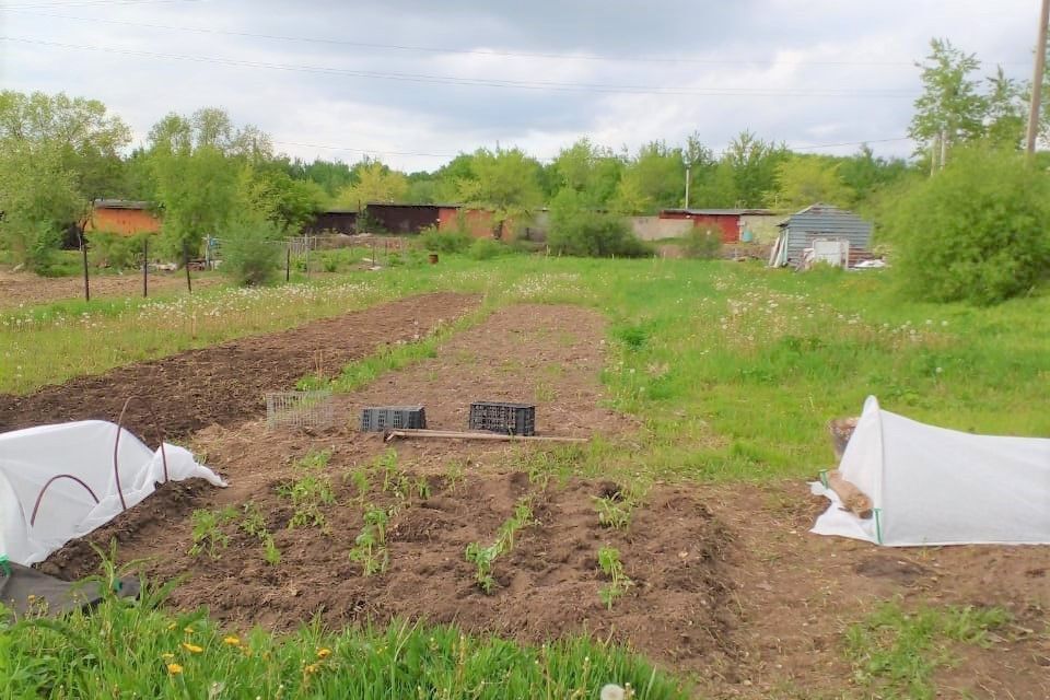 земля р-н Хабаровский с Ильинка ул Совхозная 41 фото 1