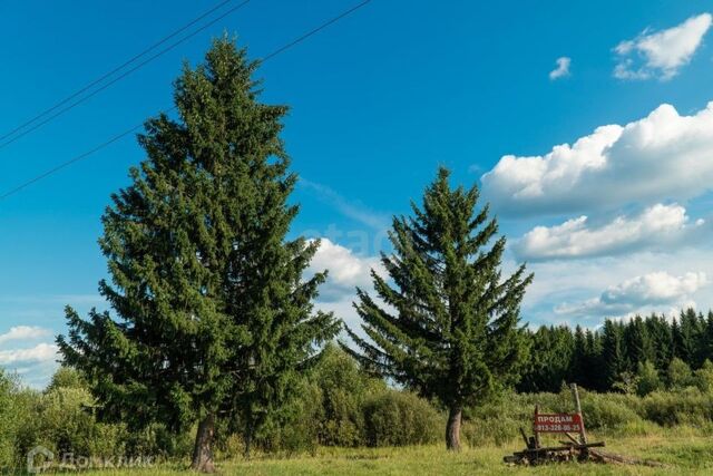 земля п Осиновое Плесо ул Болотная 21 фото