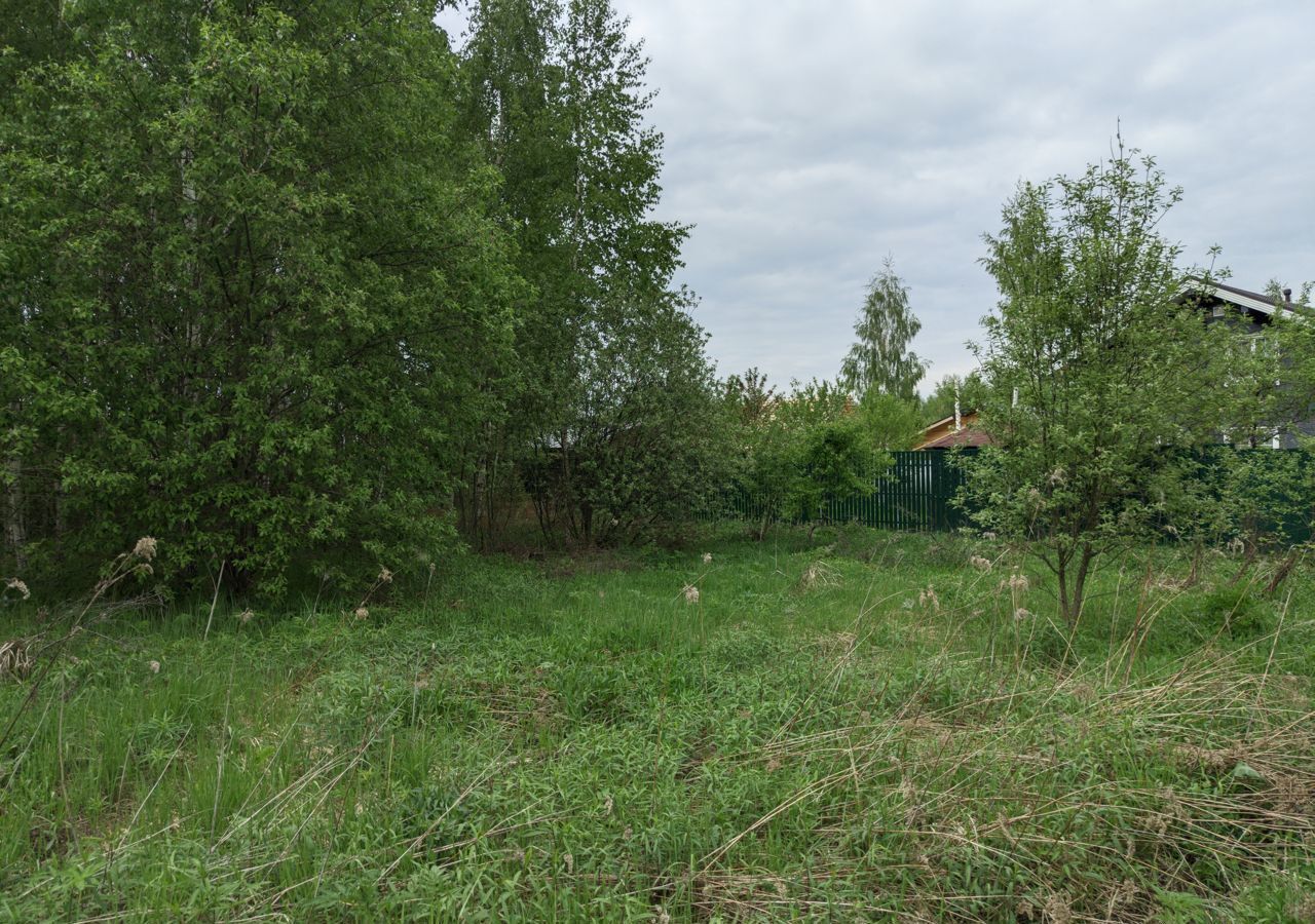 земля городской округ Ступино д Николо-Тители снт Березки НТ г. о. Ступино, Малино фото 1