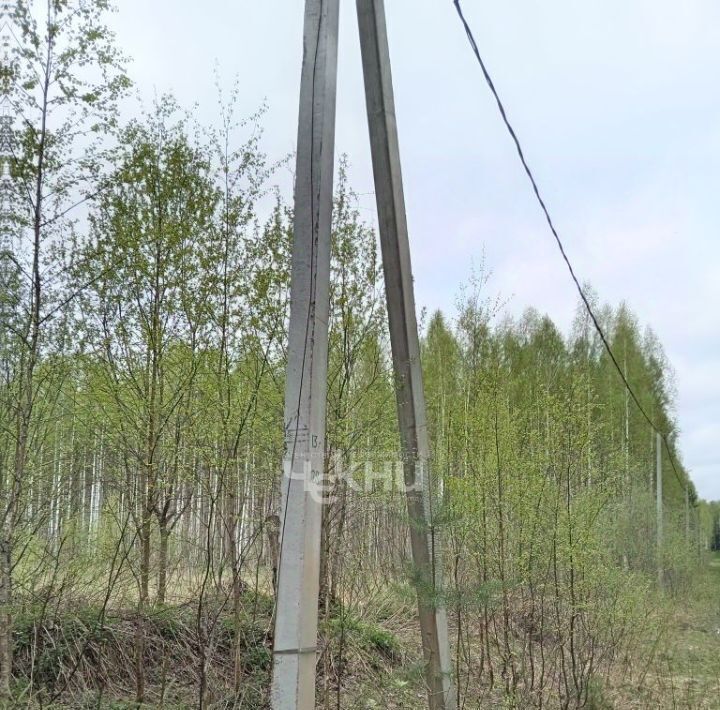 земля р-н Городецкий д Никольское (Смольковский с/с) ул Весенняя фото 4