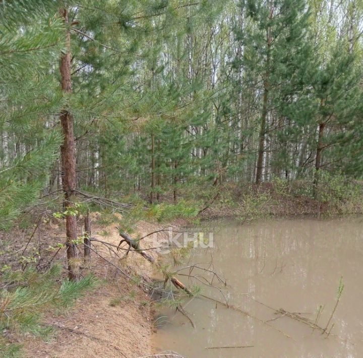 земля р-н Городецкий д Никольское (Смольковский с/с) ул Весенняя фото 15