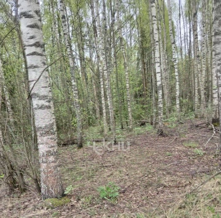 земля р-н Городецкий д Никольское (Смольковский с/с) ул Весенняя фото 18