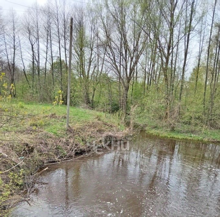 дом р-н Городецкий с. Смольки, ул. Заречная, 10 фото 40