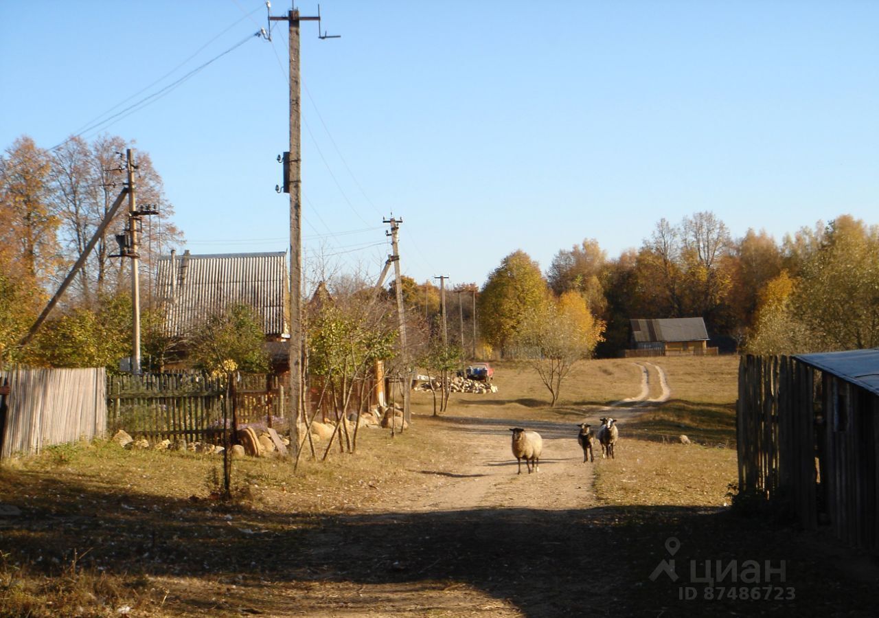 земля р-н Дзержинский д Дубрава сельское поселение Угорское, Кондрово фото 3