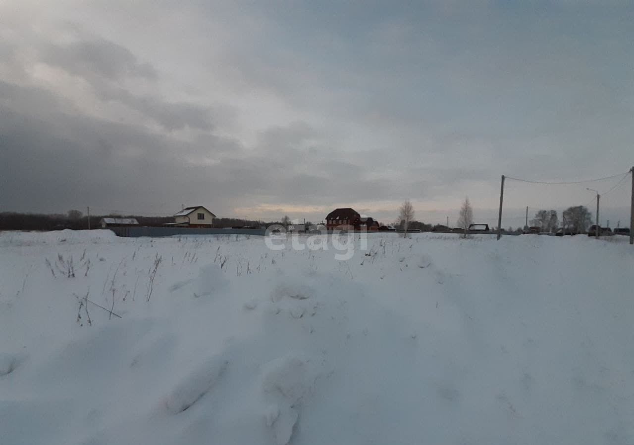 земля р-н Новосибирский п Воробьевский сельсовет, ДНТ Реестр, Новосибирск, Кудряшовский фото 7