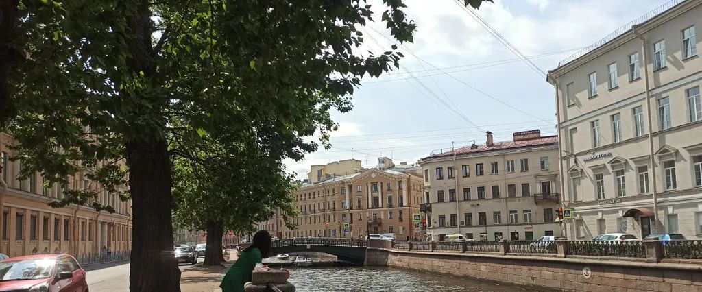 квартира г Санкт-Петербург метро Сенная Площадь пер Спасский 1/46 фото 35