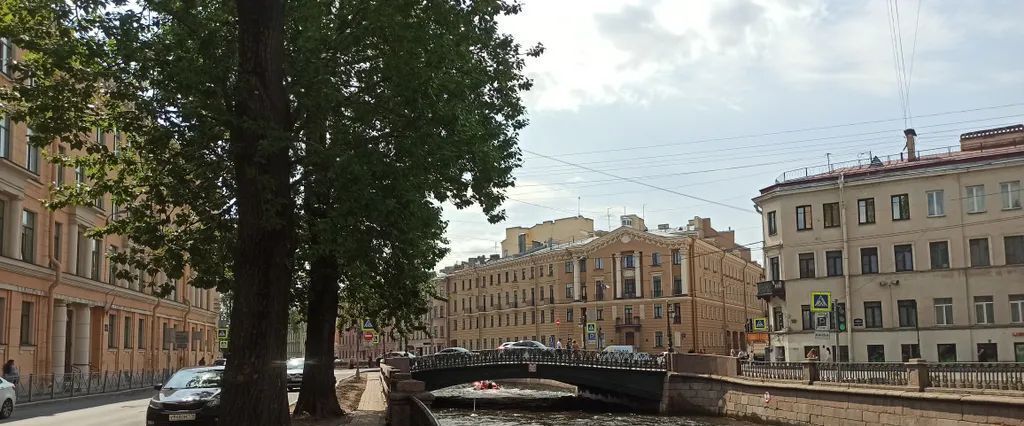 квартира г Санкт-Петербург метро Сенная Площадь пер Спасский 1/46 фото 39