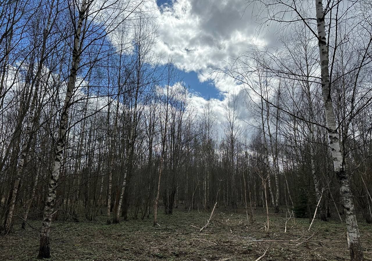 земля городской округ Рузский д Андрейково Новопетровское фото 2