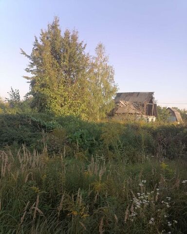 Мичуринское сельское поселение, Брянск фото