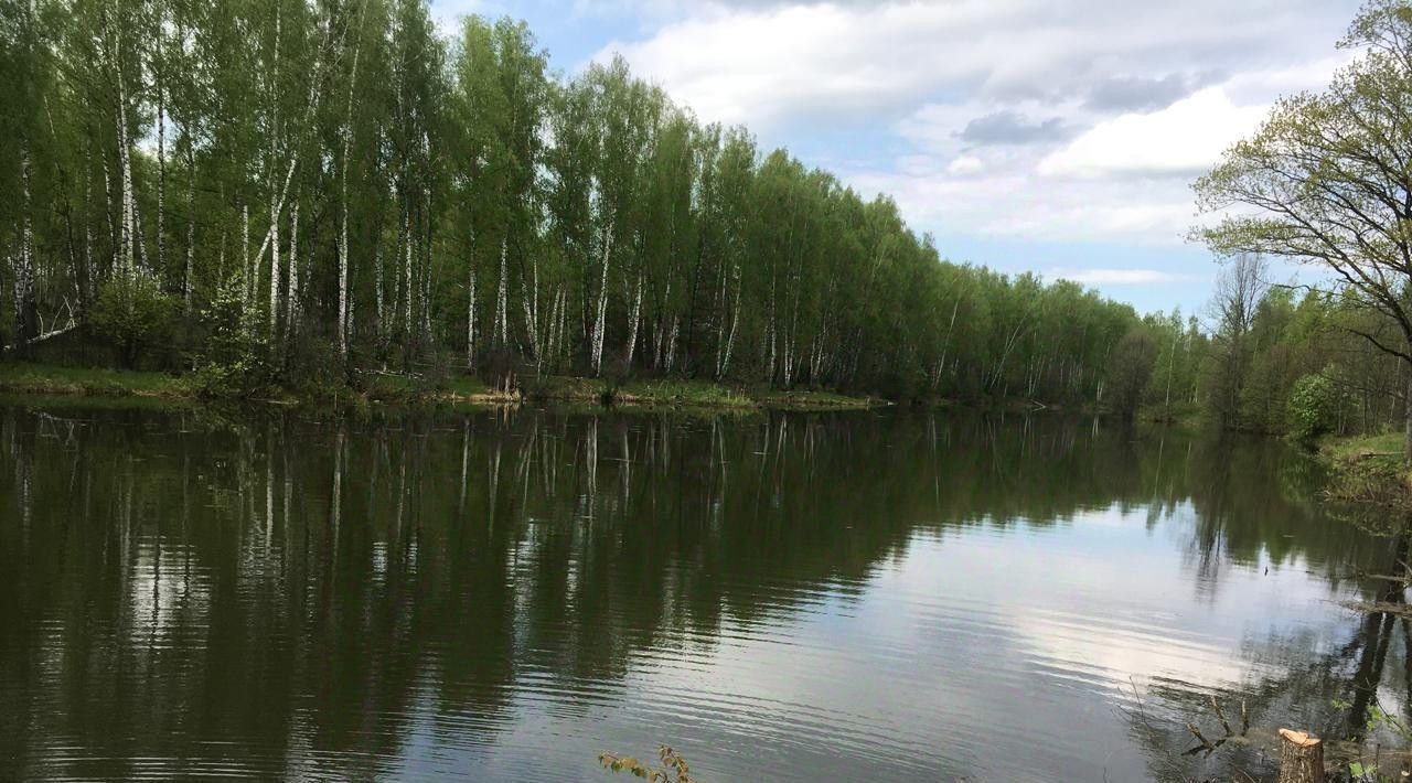 земля р-н Бабынинский д Альшаны Село Бабынино с/пос фото 15