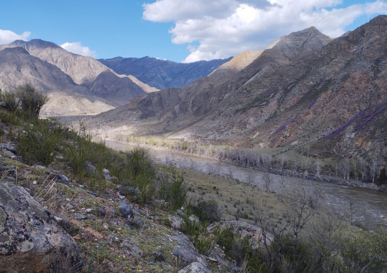 земля р-н Онгудайский с Иня Онгудай фото 9