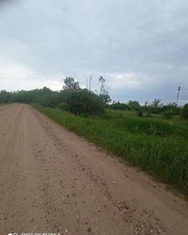 городской округ Можайский п станции Колочь Уваровка фото