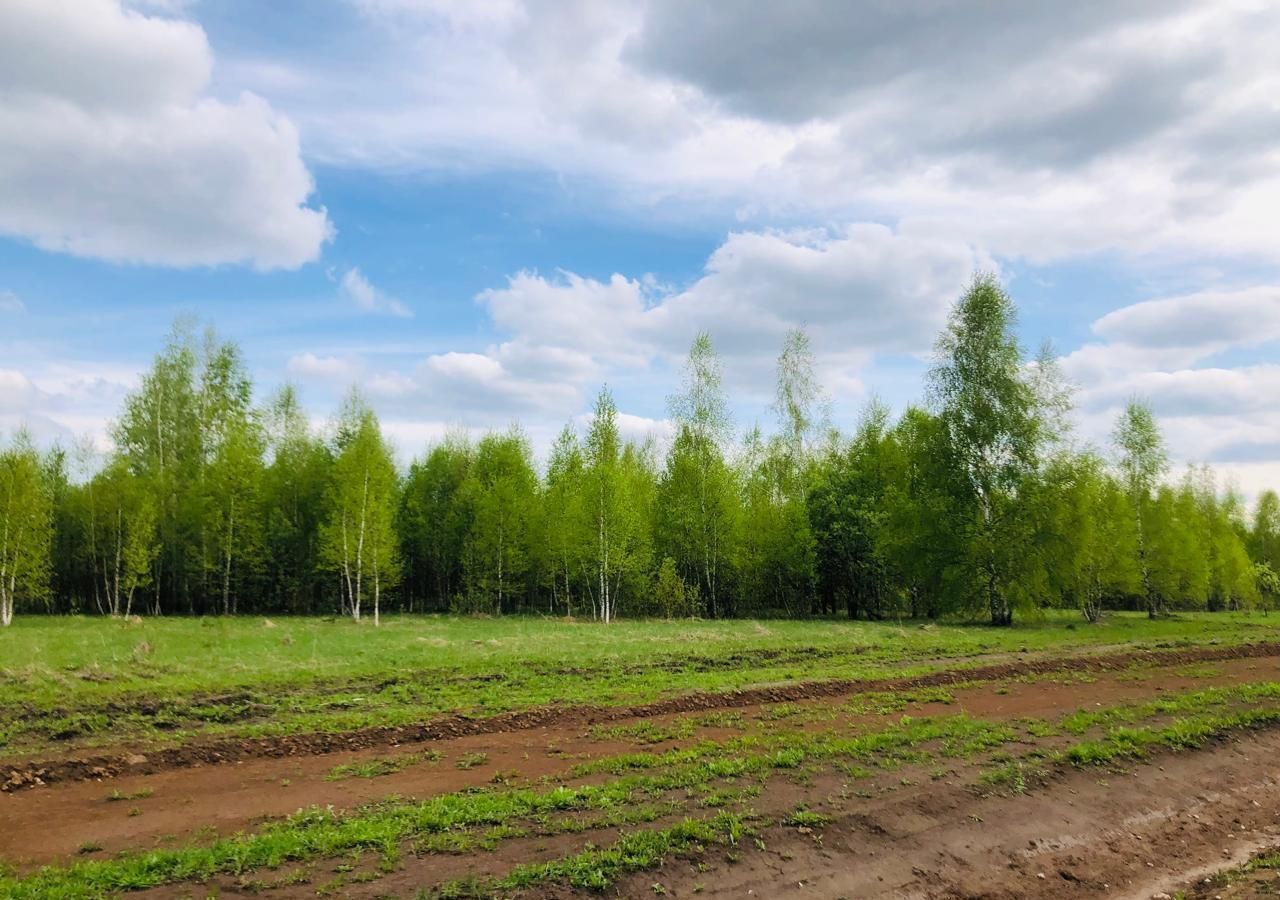 земля направление Павелецкое (юго-восток) ш Каширское 94 км, Иваньковское, Тульская обл., Ясногорский р-н, муниципальное образование, Пущино фото 1