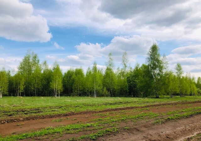 направление Павелецкое (юго-восток) ш Каширское 94 км, Иваньковское, Тульская обл., Ясногорский р-н, муниципальное образование, Пущино фото