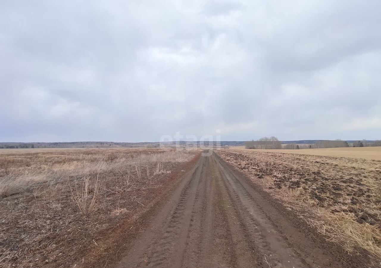 земля р-н Сухобузимский с/с Шилинский сельсовет, Сухобузимское фото 5