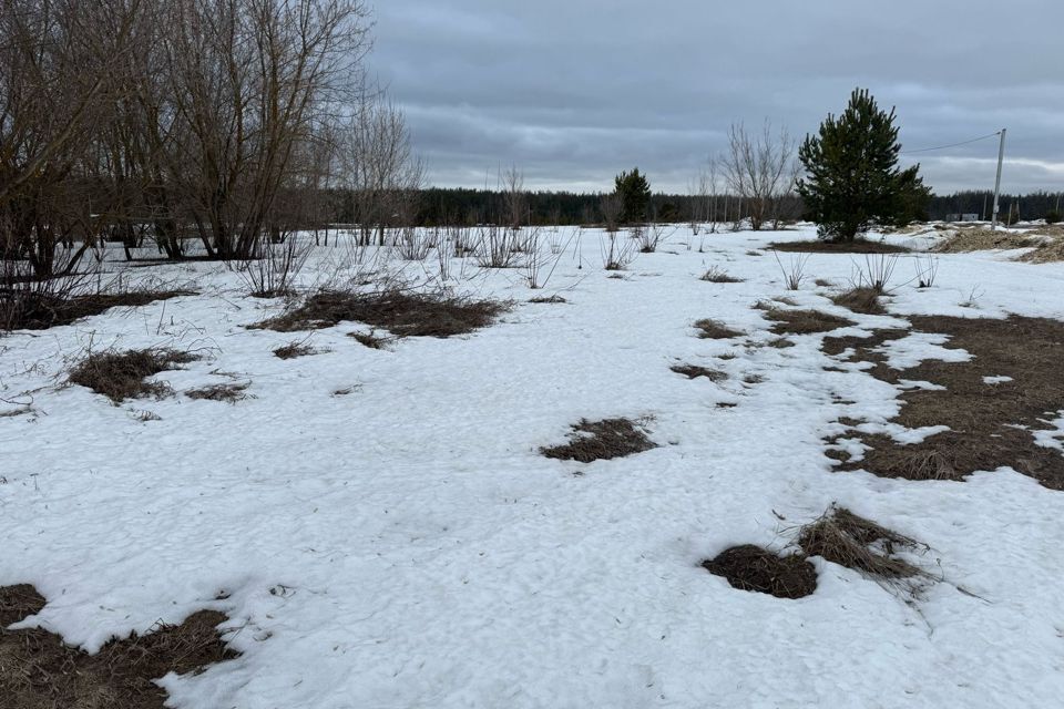 земля р-н Лаишевский село Столбище фото 1