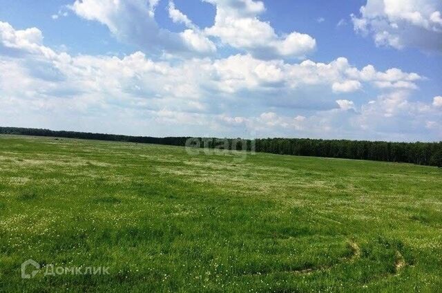 д Ясная Поляна Светлая улица, Тукаевский район фото