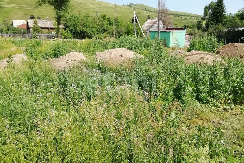 земля р-н Алтайский с Алтайское ул В.И.Ленина фото 1