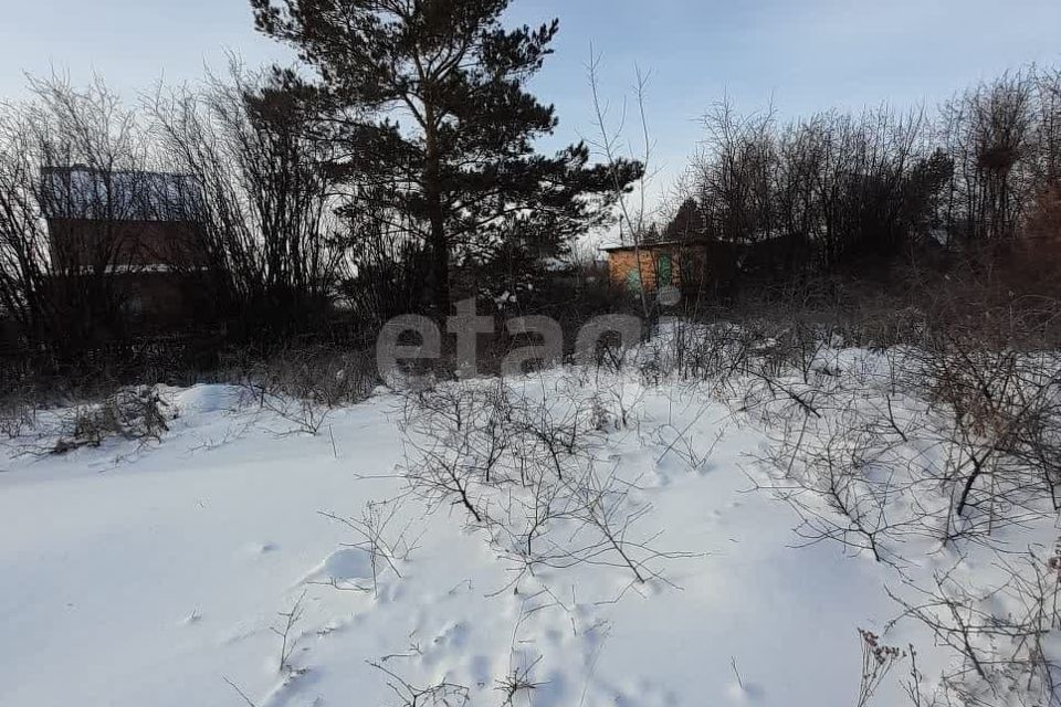 земля Азовский район, СНТ Энергия-2 фото 2