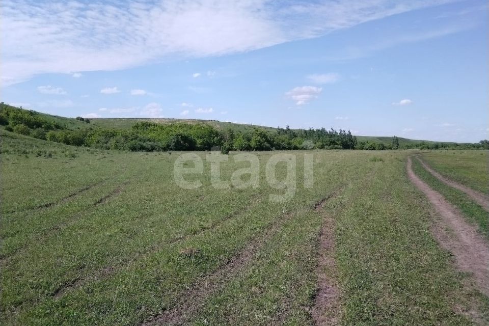 земля р-н Алтайский село Старобелокуриха фото 3