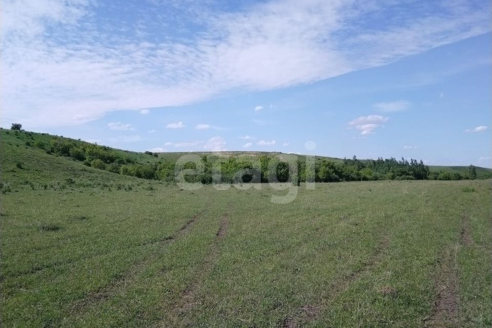 земля р-н Алтайский село Старобелокуриха фото 4