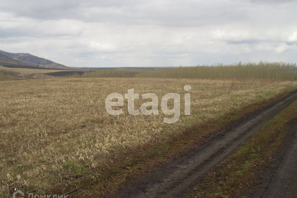 земля р-н Алтайский село Алтайское фото 2