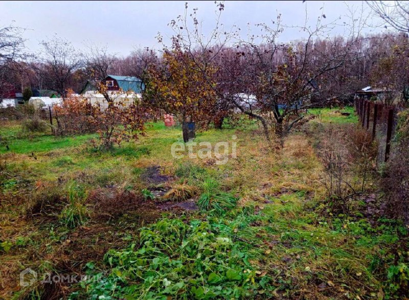 земля р-н Ярославский садовое товарищество Ветеран, 227/228 фото 2