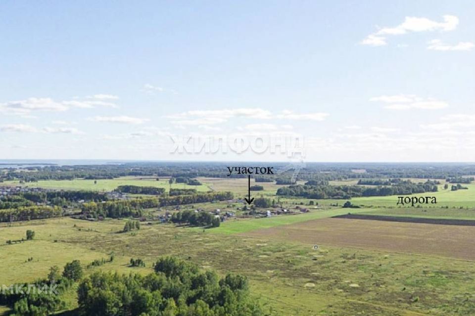 земля р-н Новосибирский село Ленинское фото 2