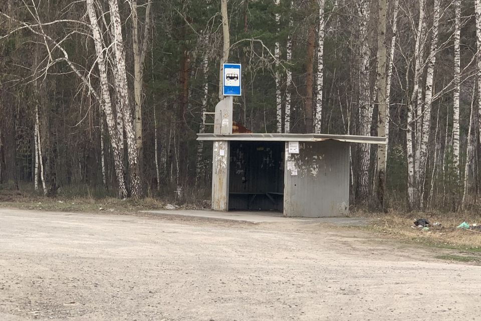 земля г Тюмень снт Зеленая Роща городской округ Тюмень, 10-я улица фото 2