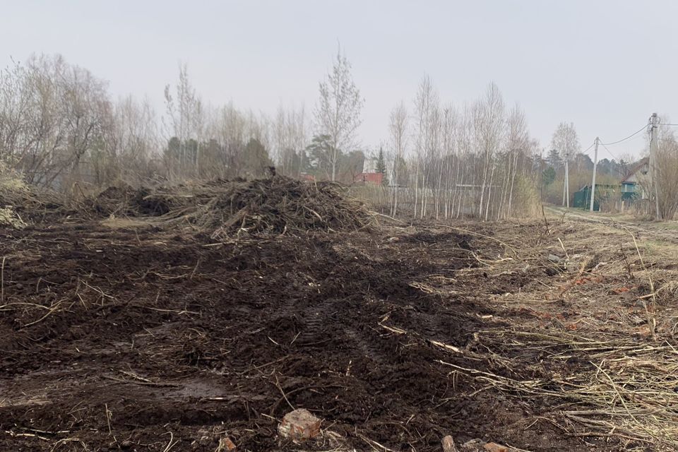 земля г Тюмень снт Зеленая Роща городской округ Тюмень, 10-я улица фото 4