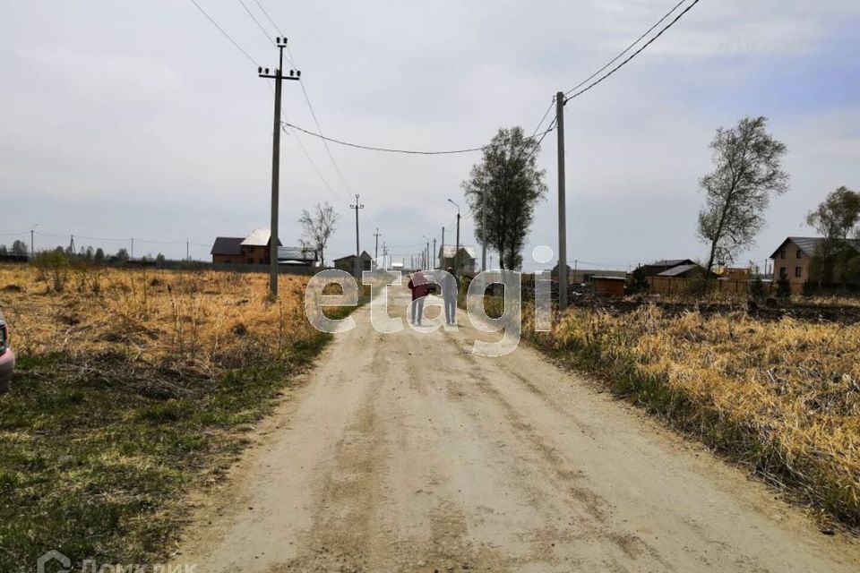 земля р-н Новосибирский п Воробьевский ДНТ Реестр фото 5