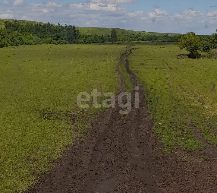 земля р-н Алтайский село Старобелокуриха фото 6