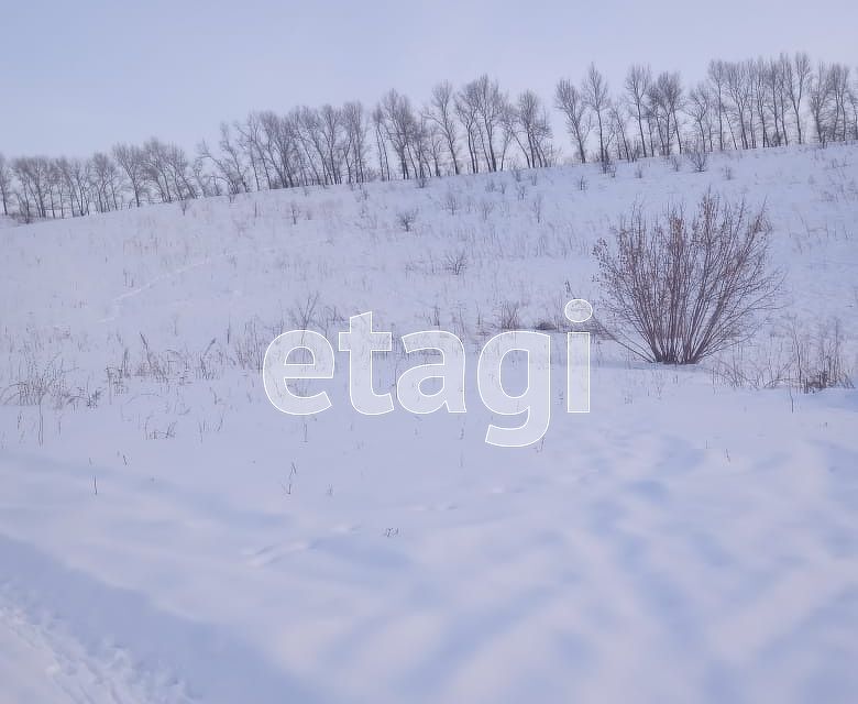 земля р-н Алтайский с Алтайское ул Полевая фото 9