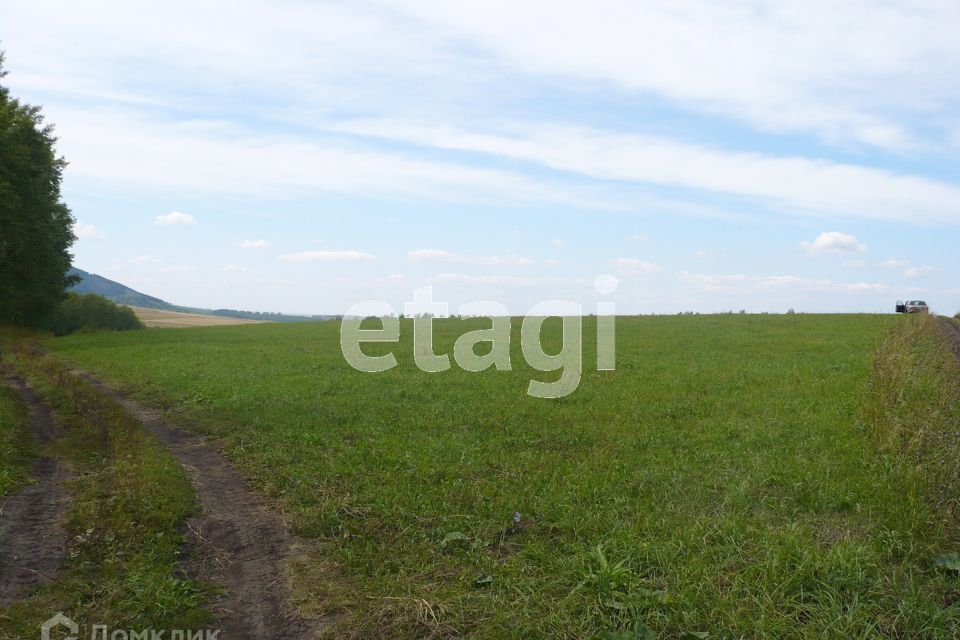 земля р-н Алтайский село Алтайское фото 7