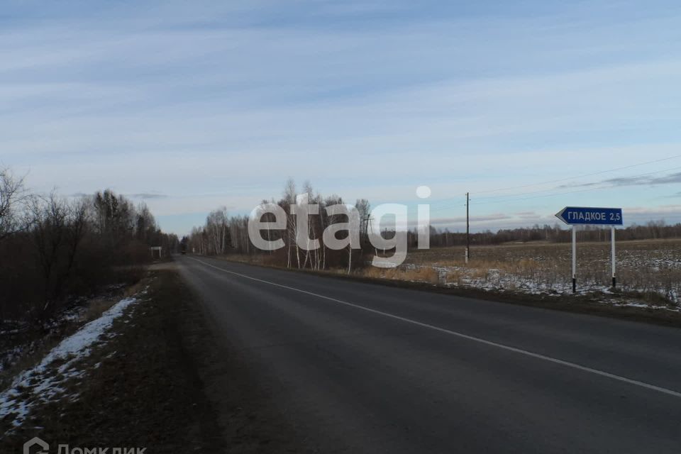 земля р-н Емельяновский д Подолка ул Центральная фото 1