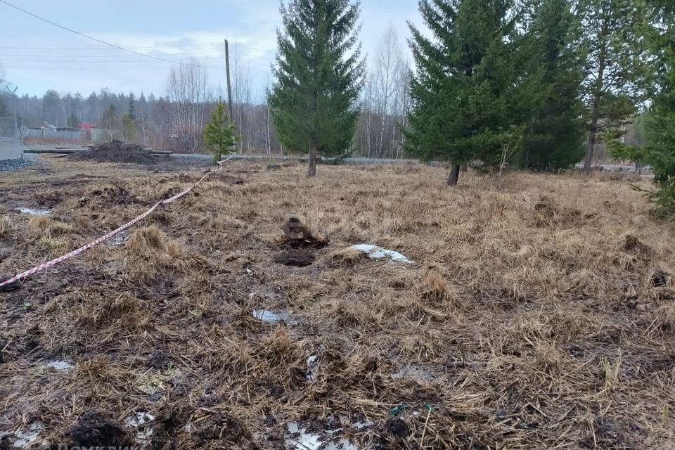 земля городской округ Первоуральск, СОНТ № 54 фото 5